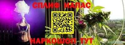 спиды Малгобек